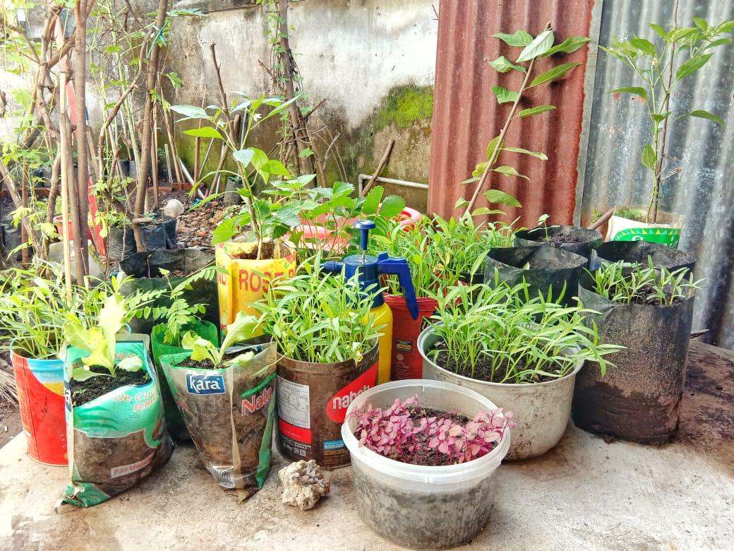 Berkebun: Satu Episode Pemekar Jiwa